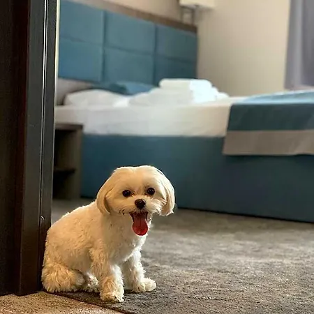 Sleep Hotel